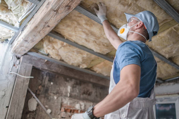 Garage Insulation Installation in Frankenmuth, MI