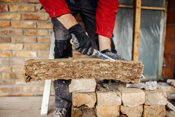 Best Insulation Inspection Services  in Frankenmuth, MI