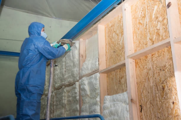 Professional Insulation Contractor in Frankenmuth, MI